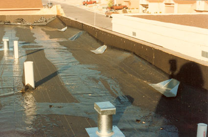 Crickets on a flat roof
